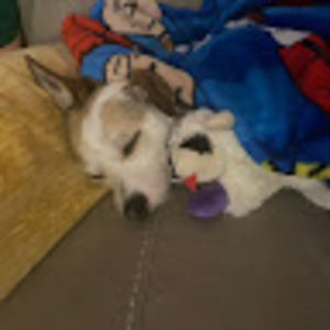 Meet your Posher, Cayla